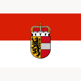 Flagge 30 x 45 cm Salzburg (Fahne)