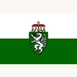 Flagge 20 x 30 cm Steiermark (Fahne)