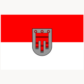 Flagge 20 x 30 cm Vorarlberg (Fahne)
